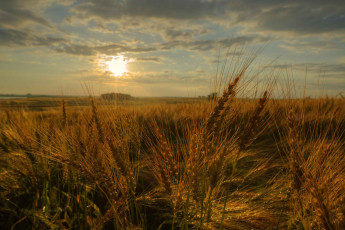 Картинка природа восходы закаты рассвет