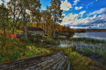 Картинка природа реки озера лес река