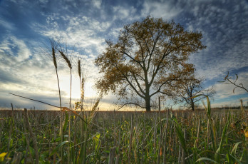 Картинка природа восходы закаты рассвет