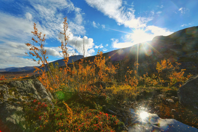 Обои картинки фото природа, восходы, закаты, рассвет