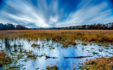 Картинка природа реки озера река лес