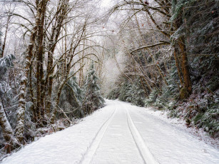 Картинка природа зима простор