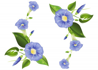 Картинка векторная+графика цветы+ flowers фон цветы