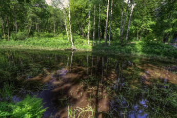 Картинка природа реки озера простор