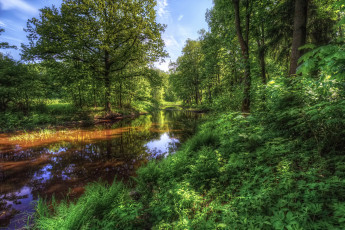 Картинка природа реки озера простор