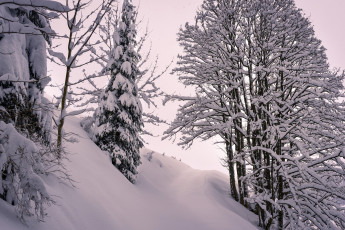 Картинка природа зима простор