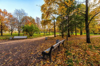 Картинка природа парк простор