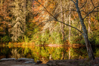 Картинка природа реки озера простор