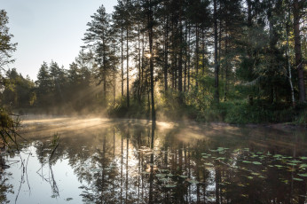 Картинка природа реки озера простор