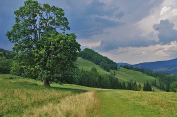 Картинка природа пейзажи простор