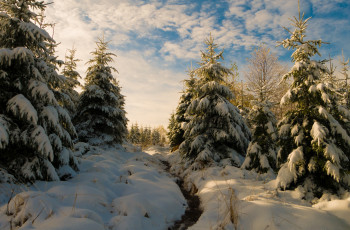 Картинка природа зима простор