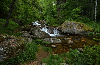 Картинка природа реки озера простор