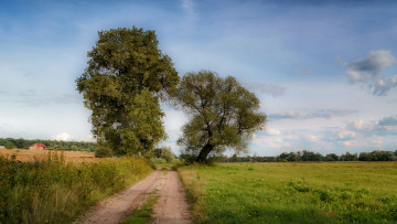 Картинка природа дороги простор