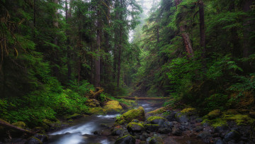 Картинка природа реки озера простор