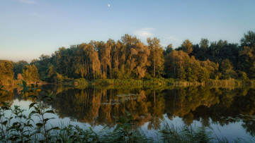 Картинка природа реки озера простор