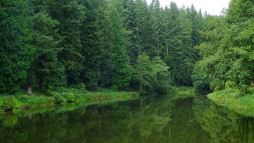 Картинка природа реки озера простор