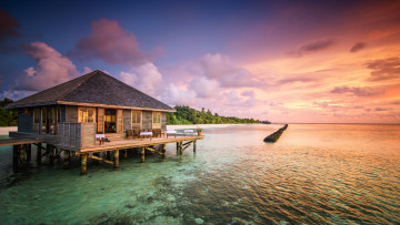 Картинка природа тропики простор