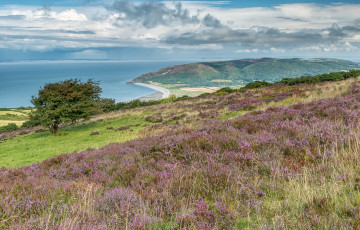 Картинка природа пейзажи простор