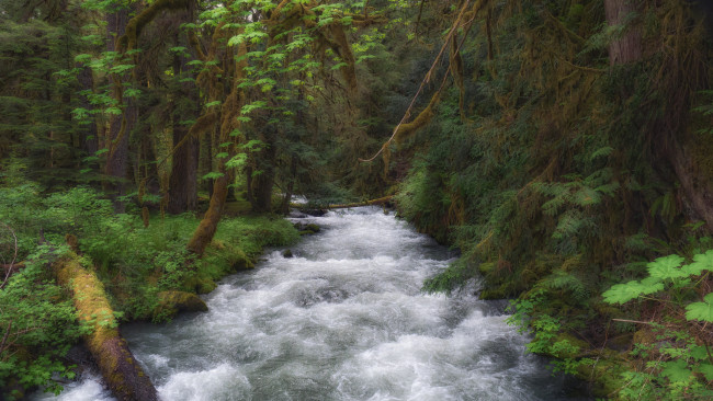 Обои картинки фото природа, реки, озера, простор