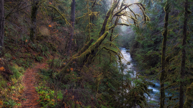 Обои картинки фото природа, реки, озера, простор