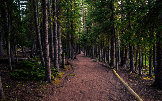 Обои картинки фото природа, дороги, простор