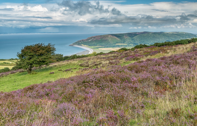 Обои картинки фото природа, пейзажи, простор