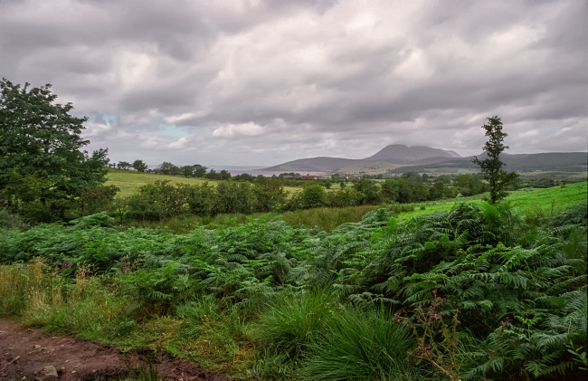 Обои картинки фото природа, пейзажи, простор