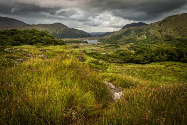 Обои картинки фото природа, пейзажи, простор