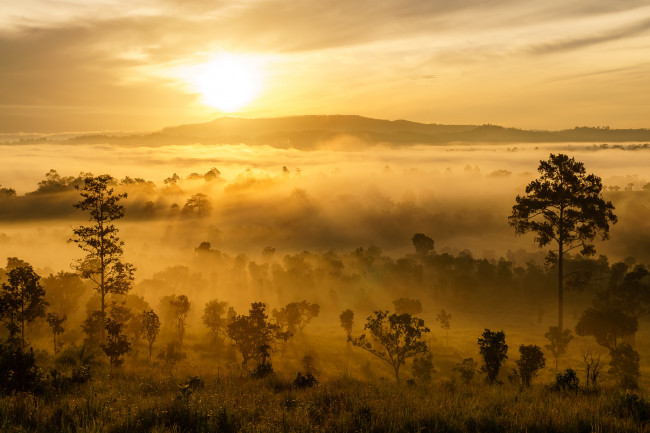 Обои картинки фото природа, восходы, закаты, простор