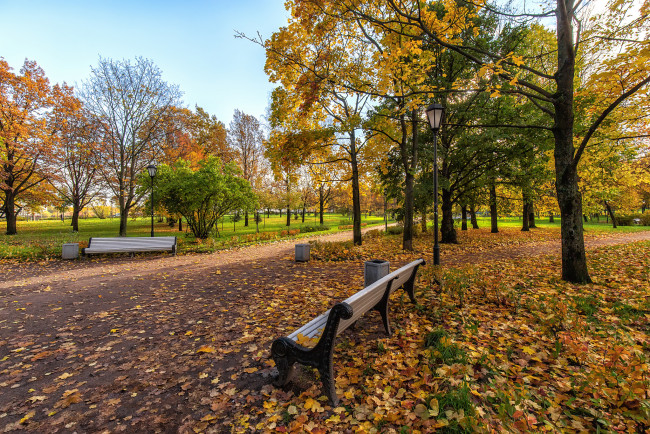 Обои картинки фото природа, парк, простор