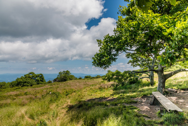 Обои картинки фото природа, пейзажи, простор