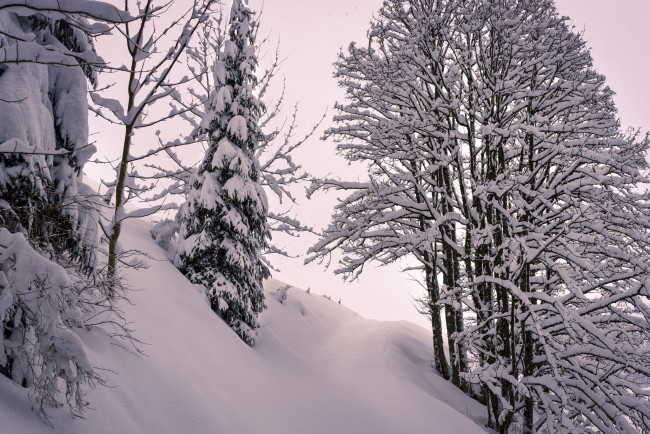 Обои картинки фото природа, зима, простор