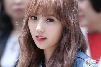 Картинка hello-venus музыка hello+venus певица