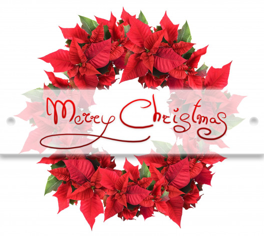 Обои картинки фото праздничные, - разное , новый год, фон, венок, листья