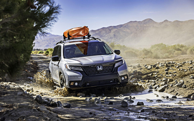 Обои картинки фото 2019 honda passport, автомобили, honda, японские, 2019, passport, экстрим, бездорожье, года, внедорожник