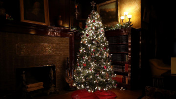 Картинка праздничные ёлки елка огоньки