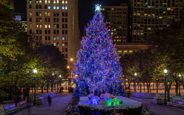 Картинка праздничные ёлки иллюминация елка вечерний город