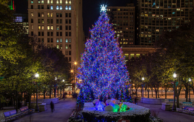 Обои картинки фото праздничные, ёлки, иллюминация, елка, вечерний, город