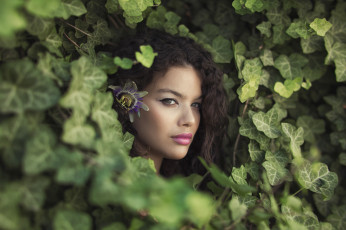 Картинка девушки -+лица +портреты девушка