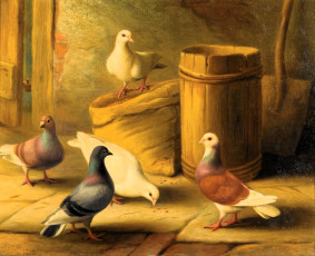 Картинка рисованное edgar+hunt голуби мешок бочка сарай