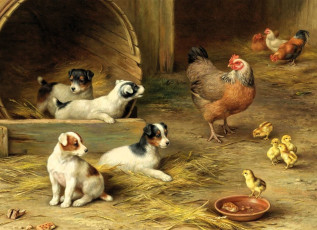 обоя рисованное, edgar hunt, куры, цыплята, миска, щенки, сено, конура