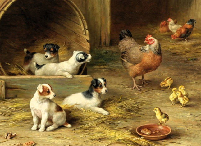Обои картинки фото рисованное, edgar hunt, куры, цыплята, миска, щенки, сено, конура