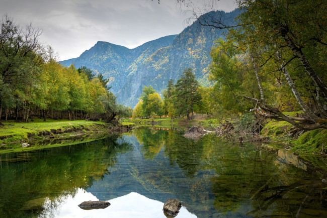 Обои картинки фото природа, реки, озера, горы, лес, деревья, пруд, камни, коряги