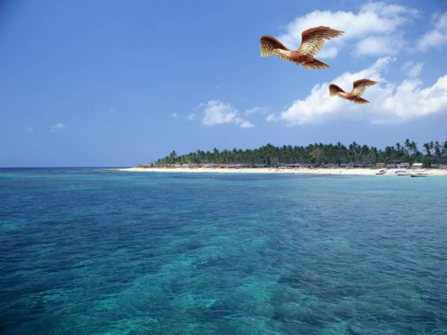 Обои картинки фото 