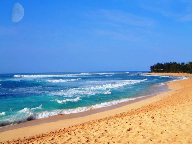 Обои картинки фото 