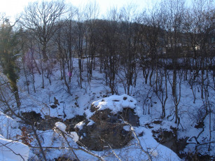 Картинка природа