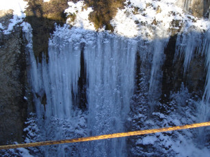 Картинка природа