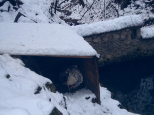 Картинка природа