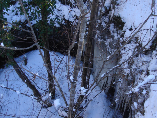 Обои картинки фото природа