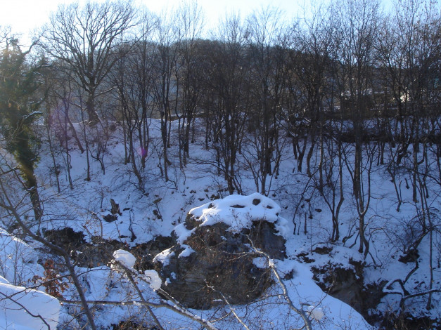 Обои картинки фото природа